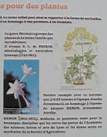 Des noms de botanistes pour des plantes (2a).jpg